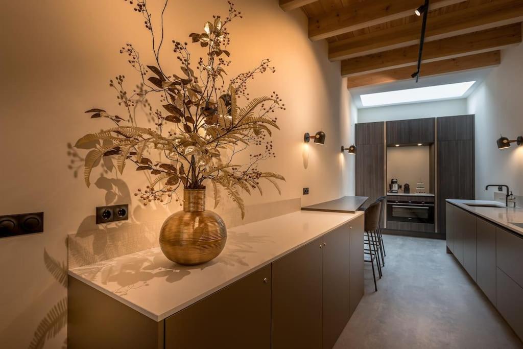 Villa Luxe Herenhuis Huis68 In De Binnenstad Zwolle